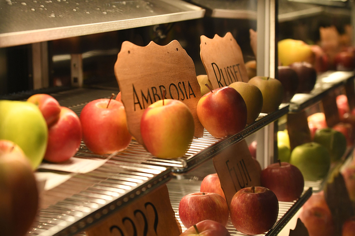 Canadian grown apples