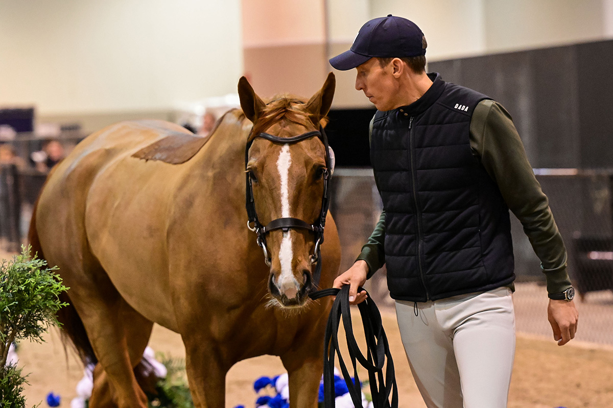 Reigning World Champions Henrik von Eckermann and King Edward at inspection at the 2023 FEI World Cup Finals
