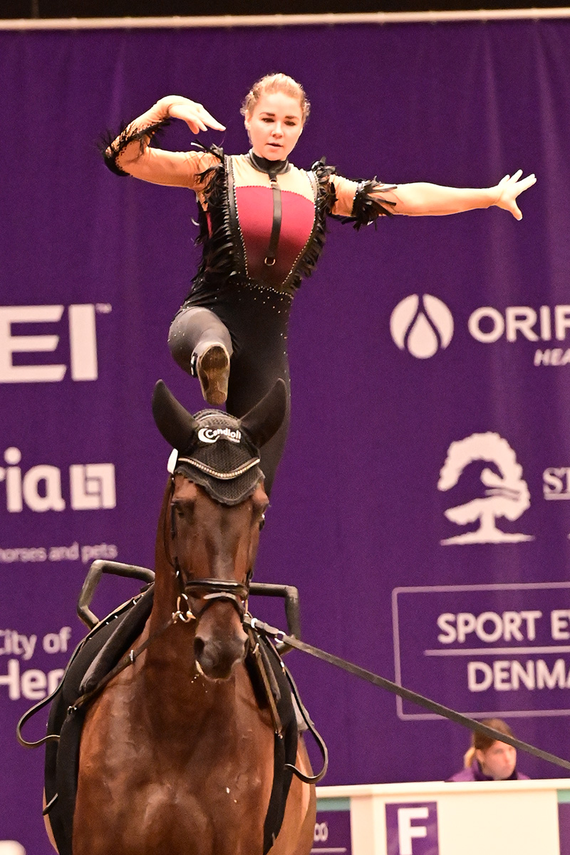 Horse vaulting