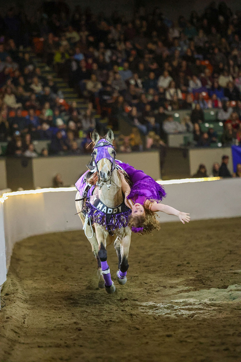 A trick rider performs at the Fantasia at Equine Affaire
