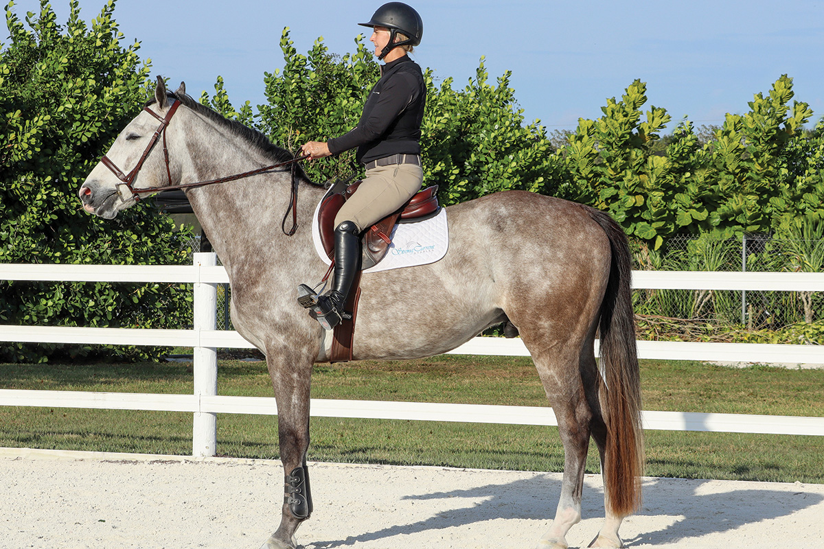 An equestrian using the riding aids that communicate to her horse to stop