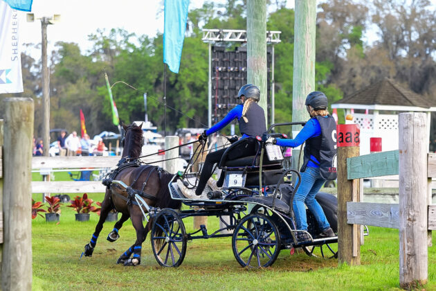 Molly Peterson, a youth driver from Grand St.-Esprit, Quebec, Canada, drives her LLF Bella Luce during the marathon phase of the 2024 Live Oak International Combined Driving Tournament