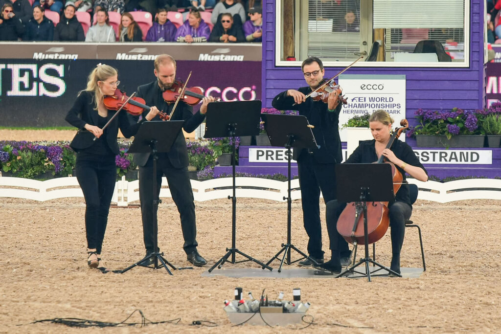 quartet before dressage team