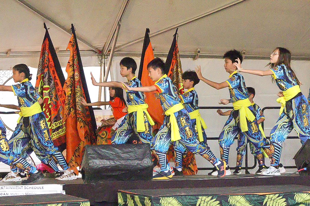 Martial arts demonstrations during the Spring Festival.