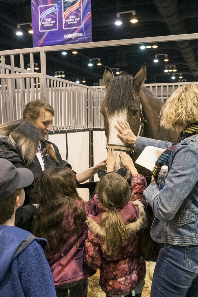 Spectators meet a horse
