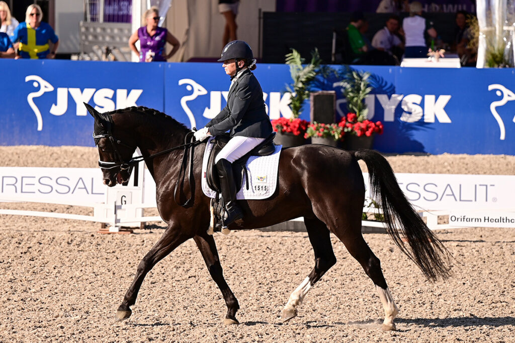 diverse equestrian clothes