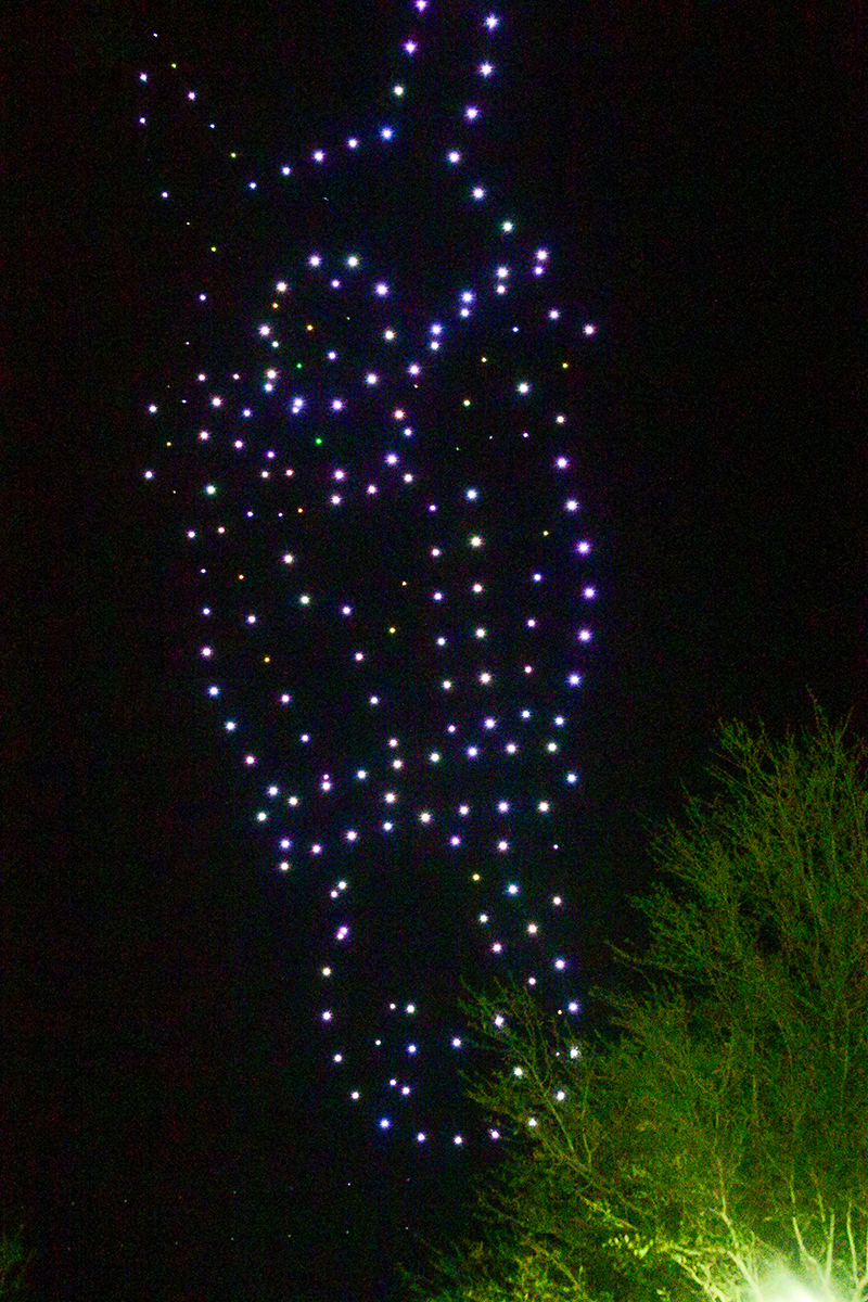 A drone show in the shape of a horse's face.