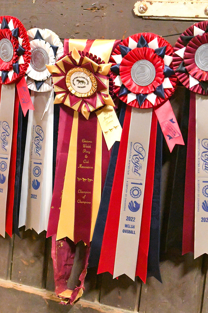 Royal Agricultural Winter Fair 2022 ribbons