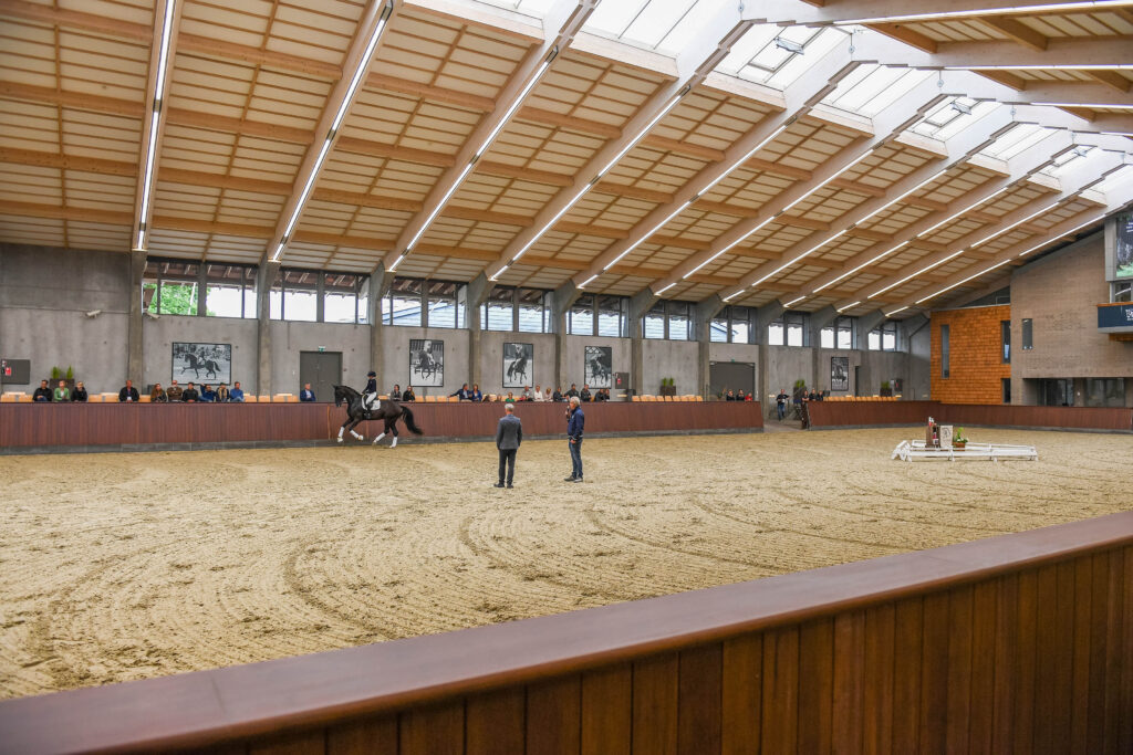 blue hors riding arena