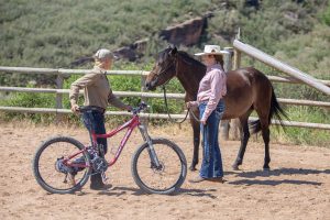 Bike Basics: Introducing Your Horse to a Bicycle