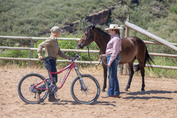 Introducing a Horse to a Bicycle