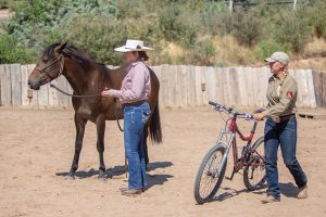 Introducing a Horse to a Bike