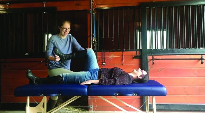 physical therapy for equestrians