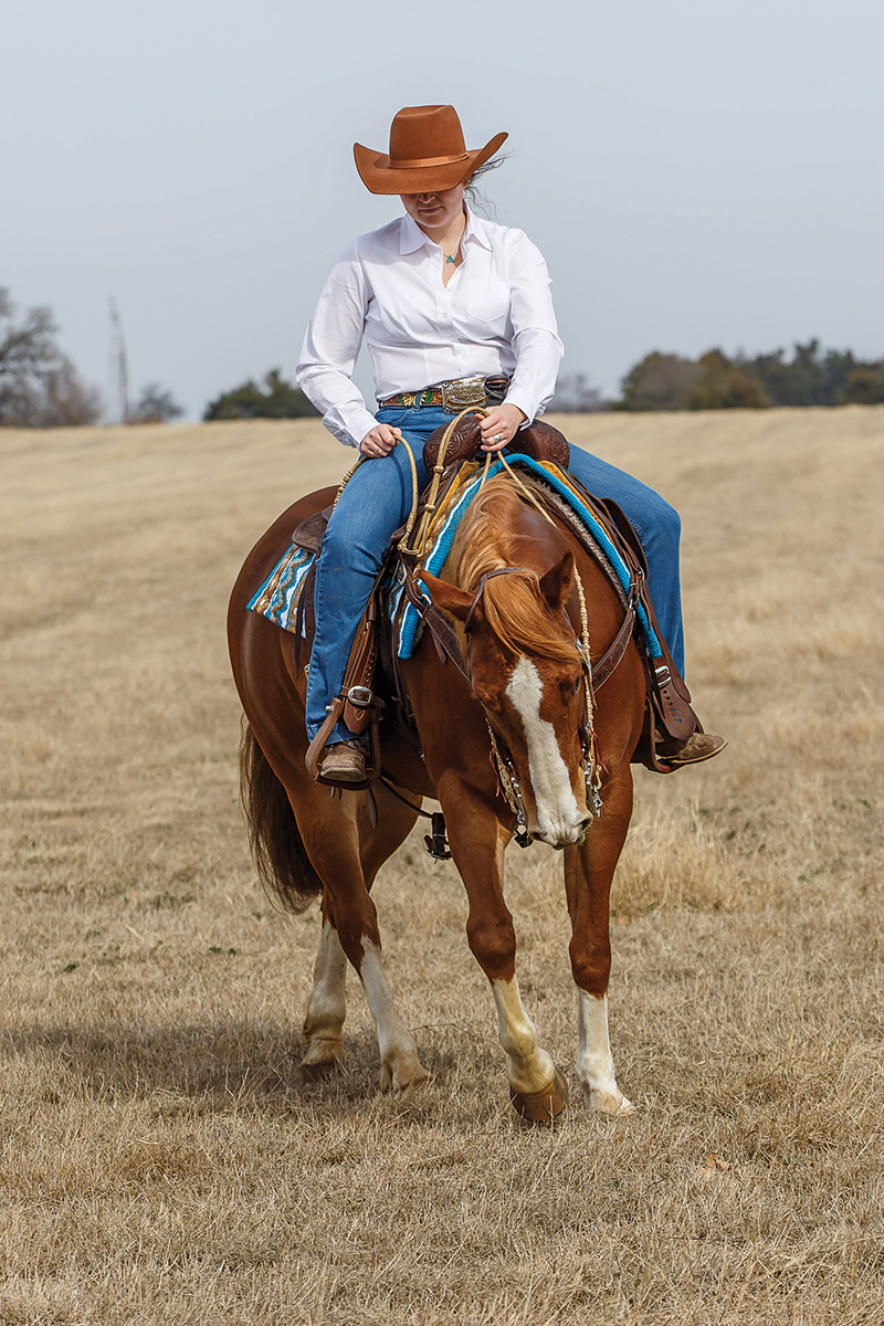 riding with Roman reins