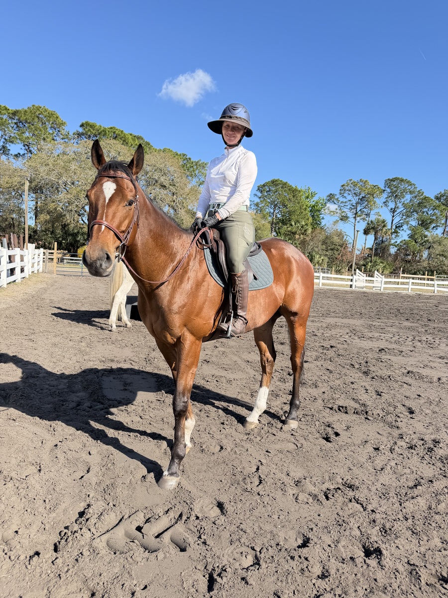 A bay OTTB under saddle.