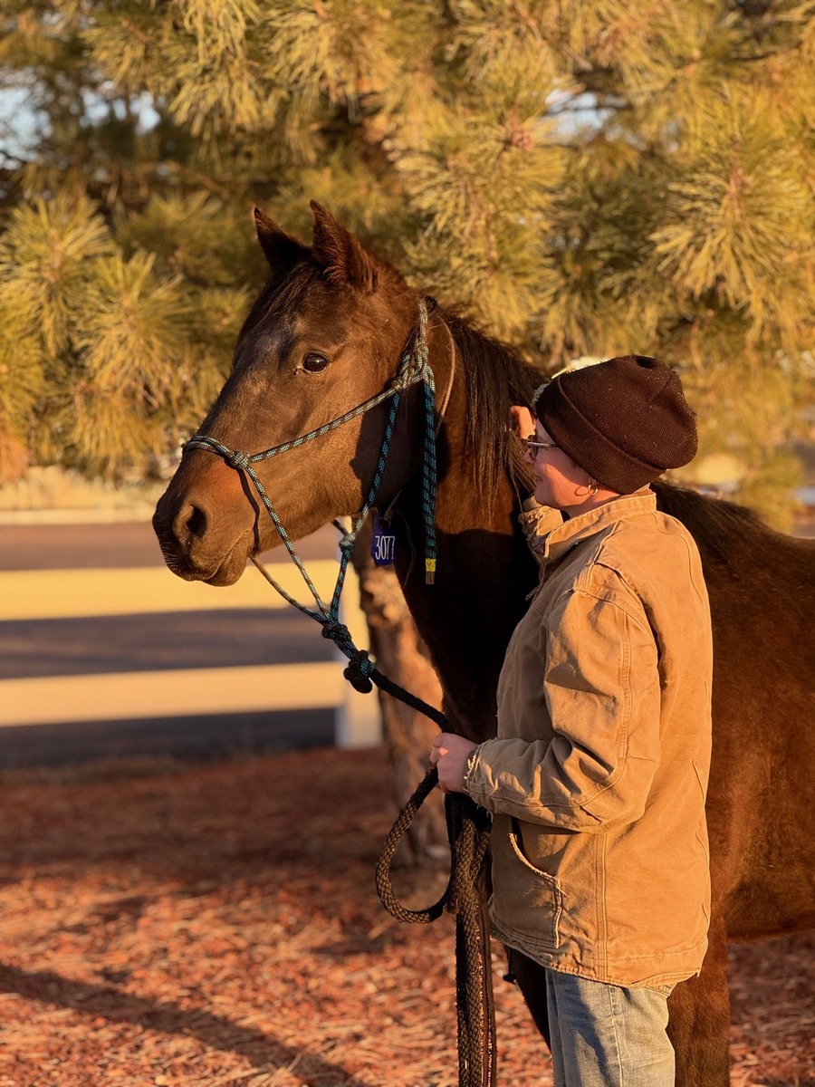 A bay mare with a rescue volunteer.
