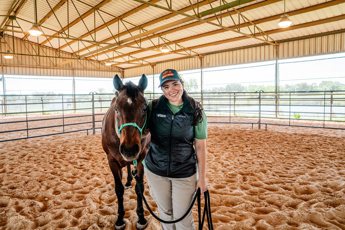 A volunteer in the indoor arena with a bay gelding.