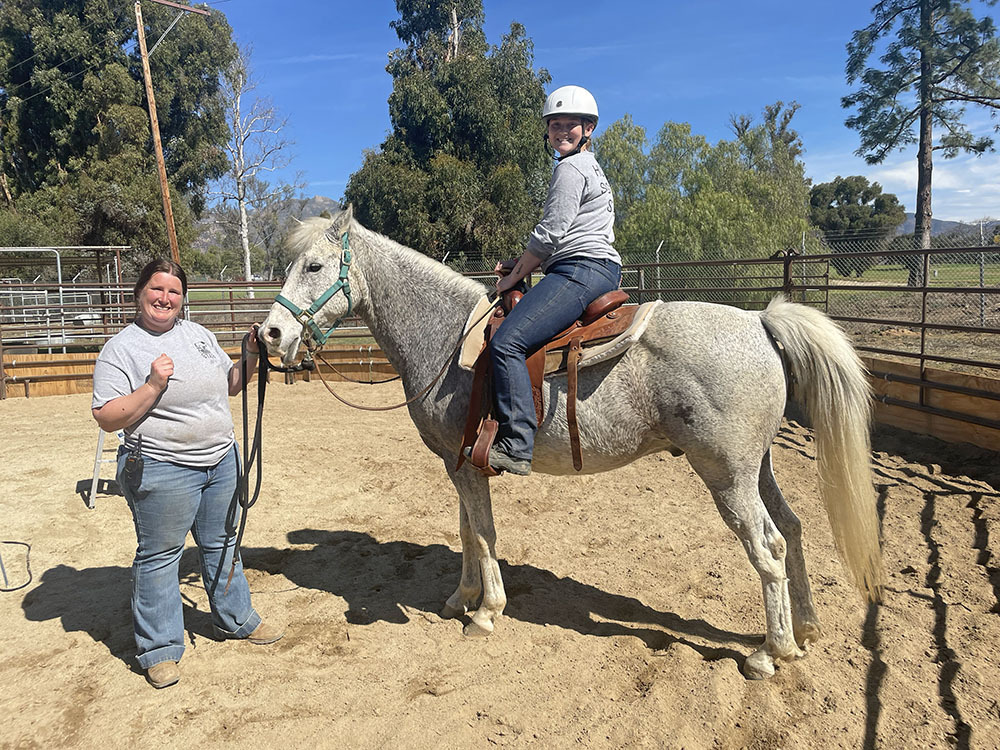 A gray gelding being ridden.