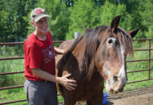 Gypsy was a hard-to-adopt horse because she is blind (shown missing eye), but was adopted by volunteer Patrick (petting and smiling her here)