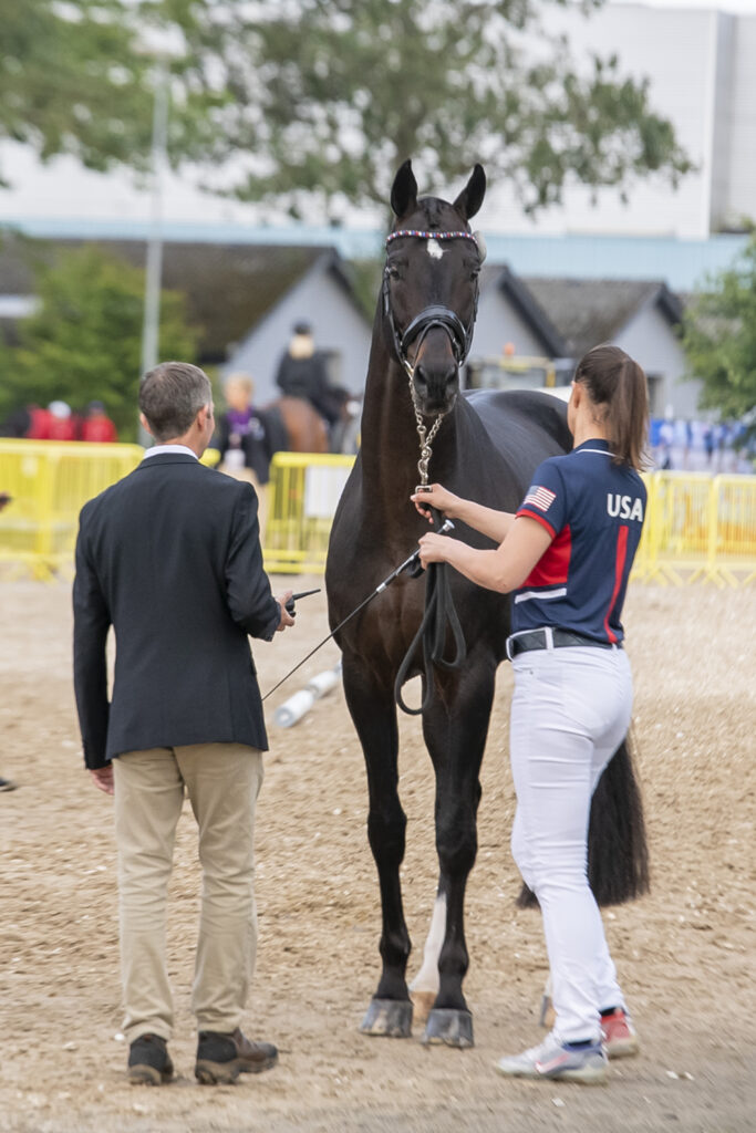 FEI World Championships Day 1