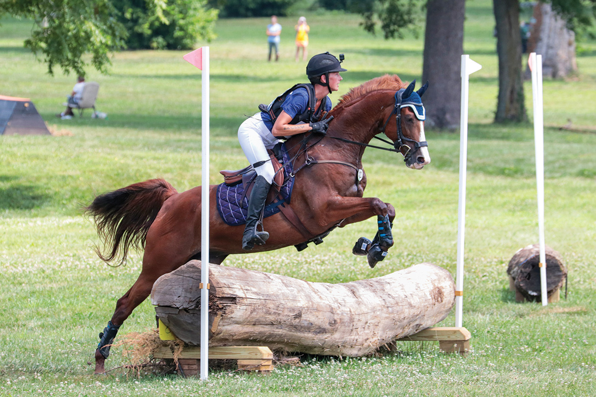 A chestnut soars over a cross-country jump