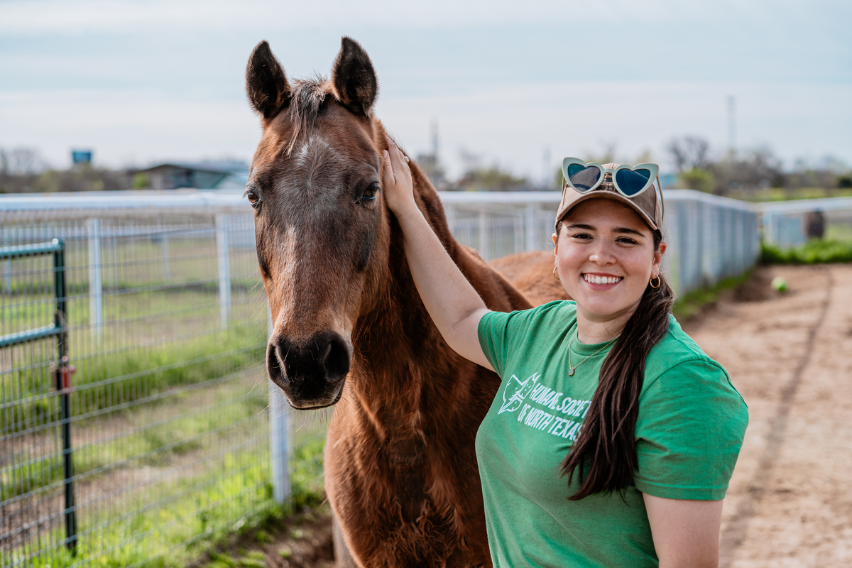 Adoptable horse Jenny.