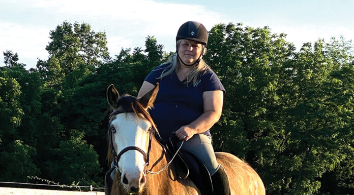 Kitson riding the young Shire gelding.
