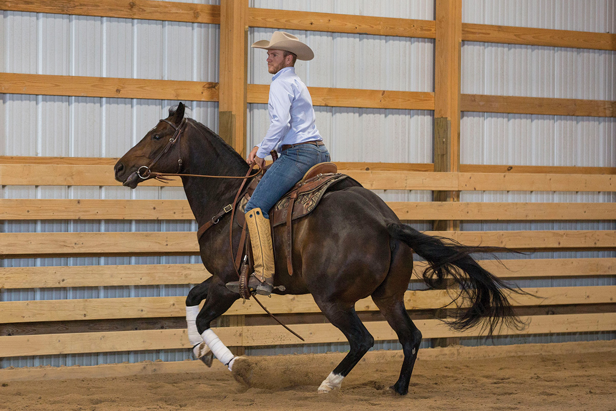 Cody Harrison grew up ranch riding before changing disciplines to dressage