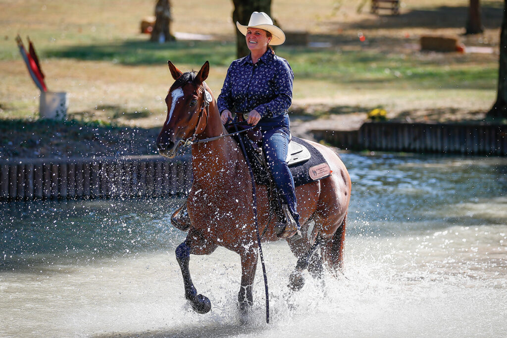 Thoroughbred horses