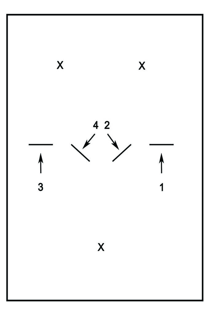 practice tracks for horse jumping