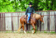 ranch riding downward transition