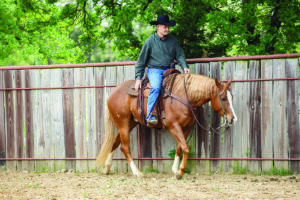 Ranch Riding Downward Transitions