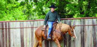 ranch riding downward transition