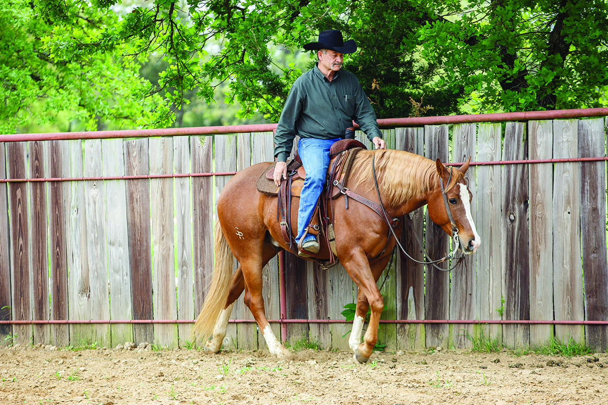 Ranch Riding Downward Transitions