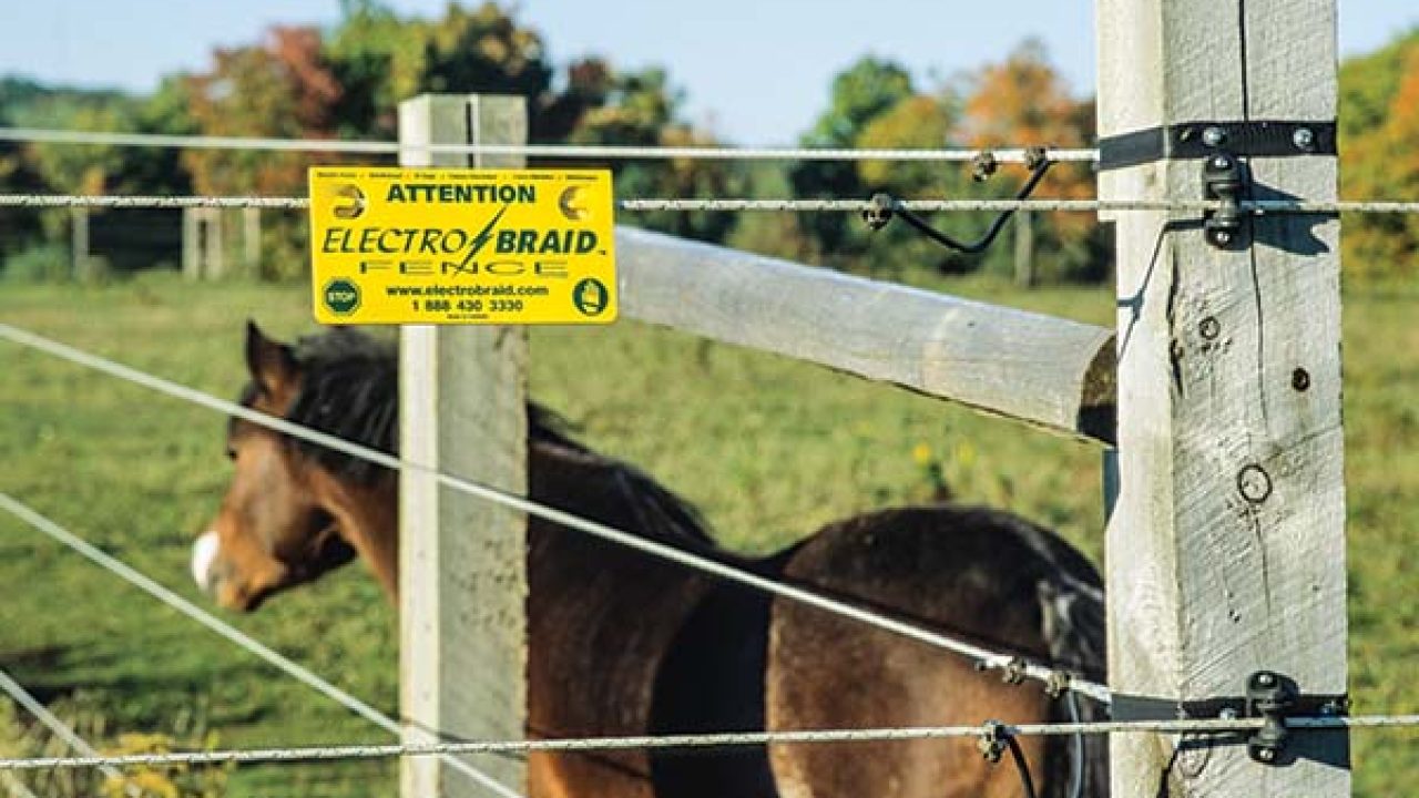 Its Electric All About Electric Horse Fencing