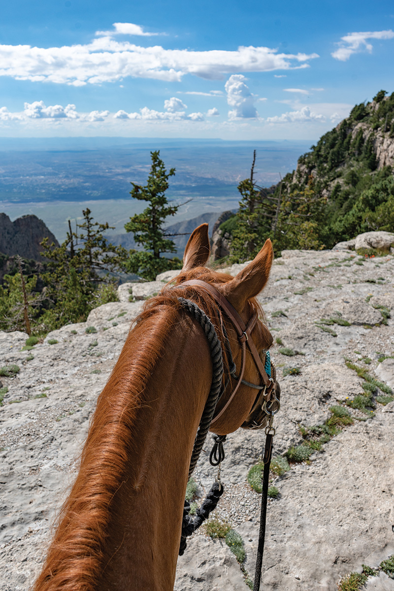 The mountainous view of a ride on a rescue horse with Enchantment Equitreks