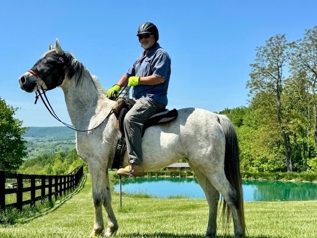 The mare being ridden.
