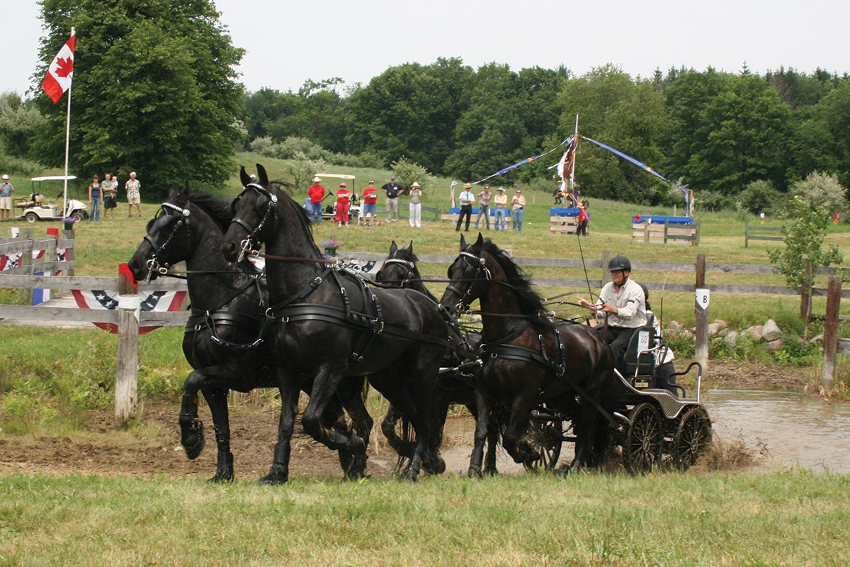 Combined driving competition