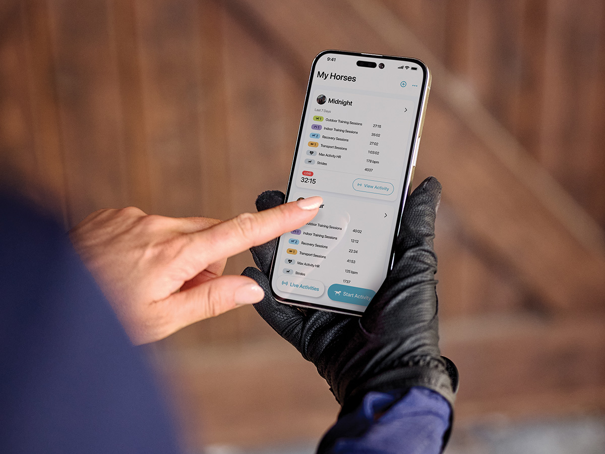 The gathered stats in the app.