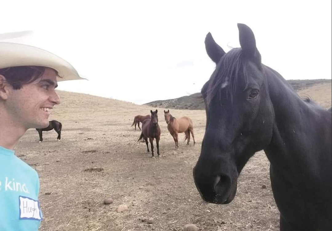 Hugh Englehart at American Jewish University facilitating experiential education with horses.