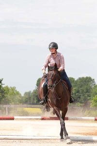 horse jumping