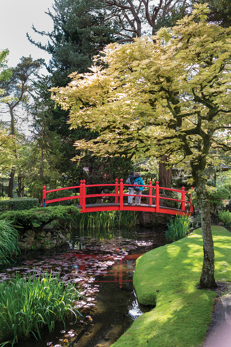 Japanese gardens featuring a red bridge