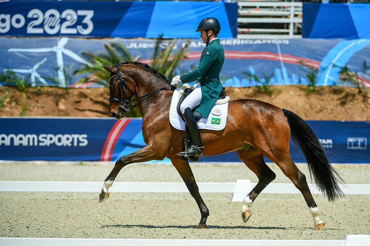 An extended trot in the ring