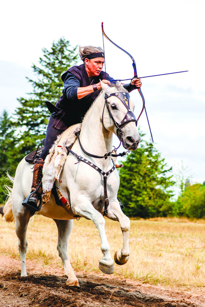 lipizzan horse