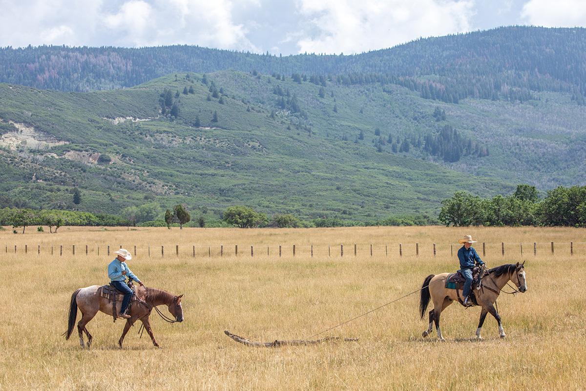 A rider follows another horse dragging a log to teach his horse it's safe.