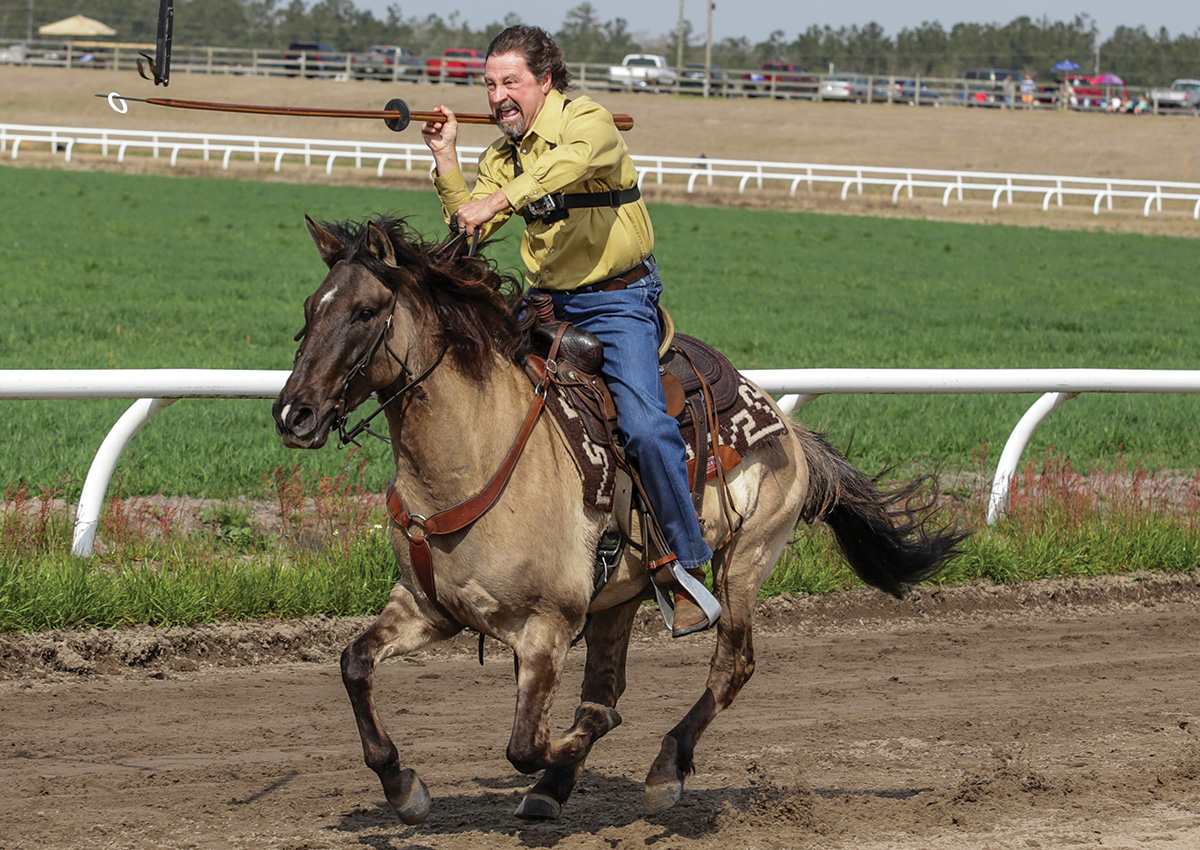 A man jousting aboard a Marsh Tacky horse