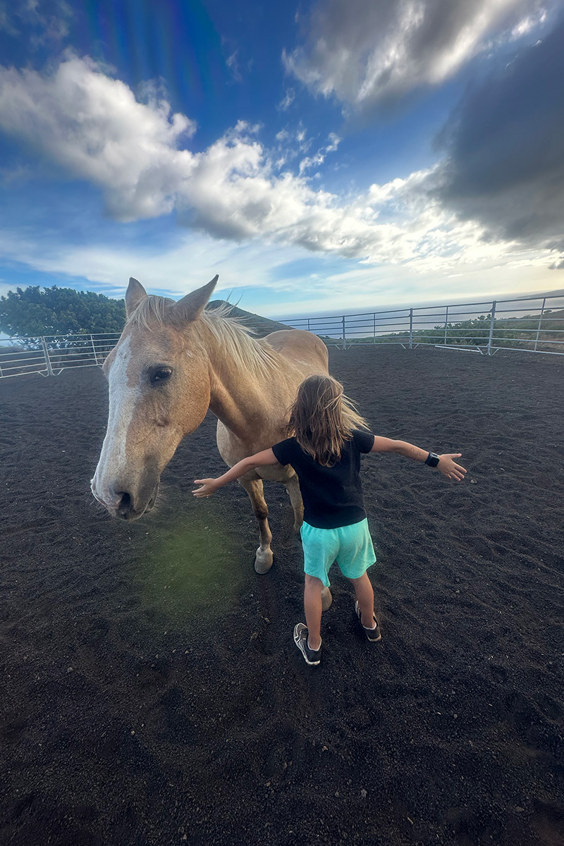 A young girl praises a horse with the ocean in the background