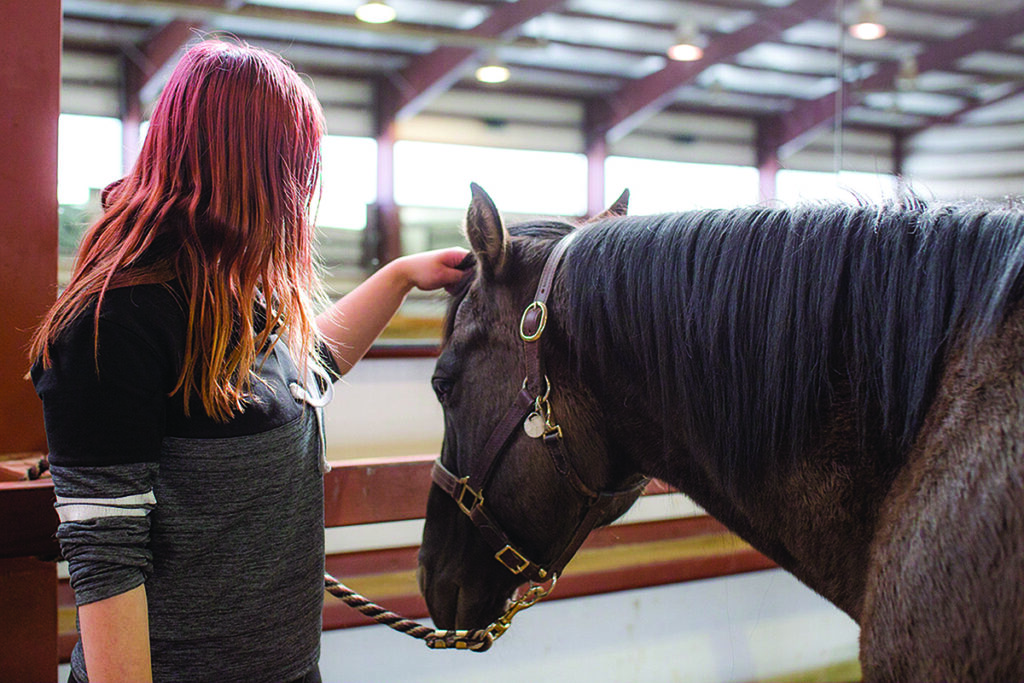 equine-assisted therapy