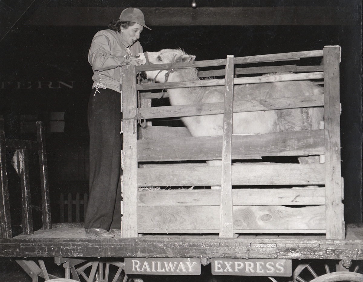 The real-life Misty with Marguerite Henry when she arrived via train.