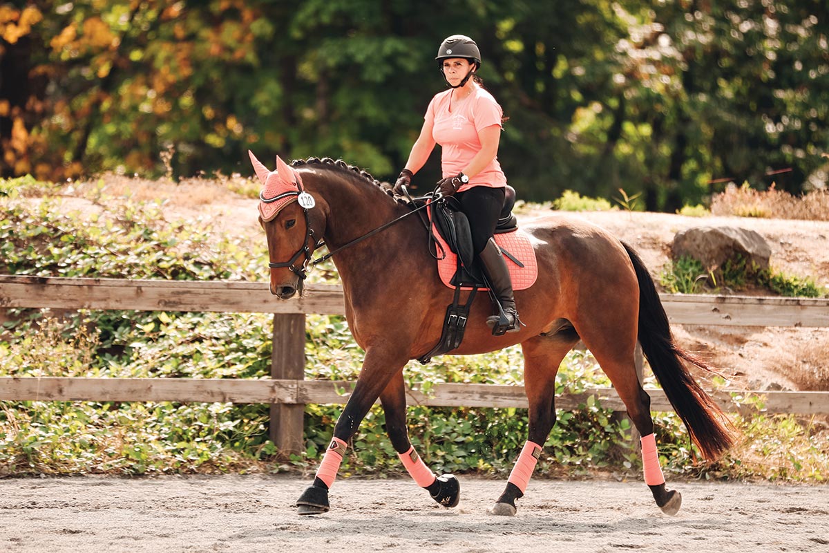 matchy-matchy equestrian